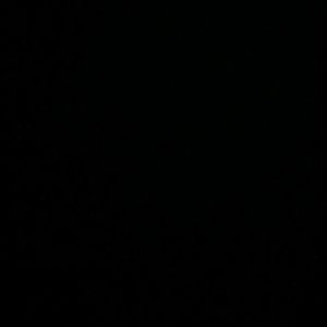 Meet your Posher, Kashanna